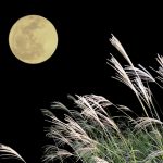 十五夜、どうして月にウサギがいるの?月とうさぎの絵本。