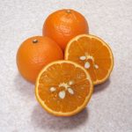 屋久島の2月を楽しむ「たんかん」って何?たんかんの剥き方