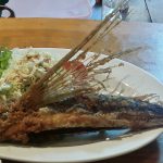 飛び魚~屋久島で日本一の飛び魚を食べる~