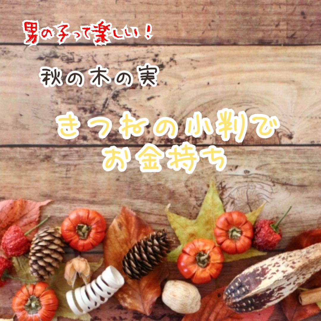 秋の木の実 きつねの小判の正体!